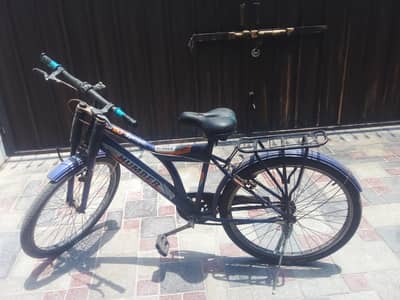 All ok cycle