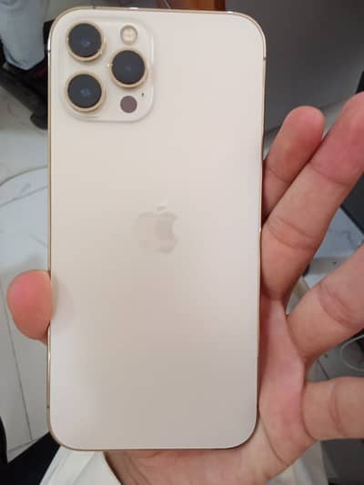 Apple iPhone 12 Pro Max