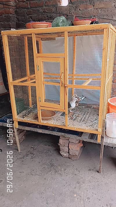 Strong Iron Pigeon Cage | Large Kabootar Pinjra | Good Condition