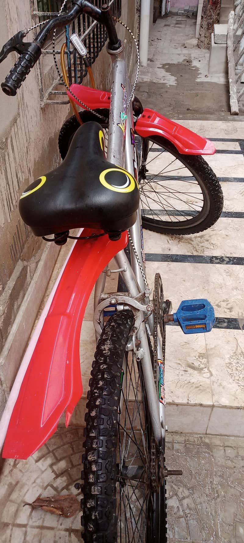 full size cycle 2