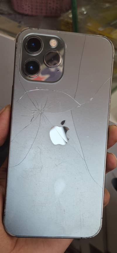 Apple iPhone 12 Pro Max