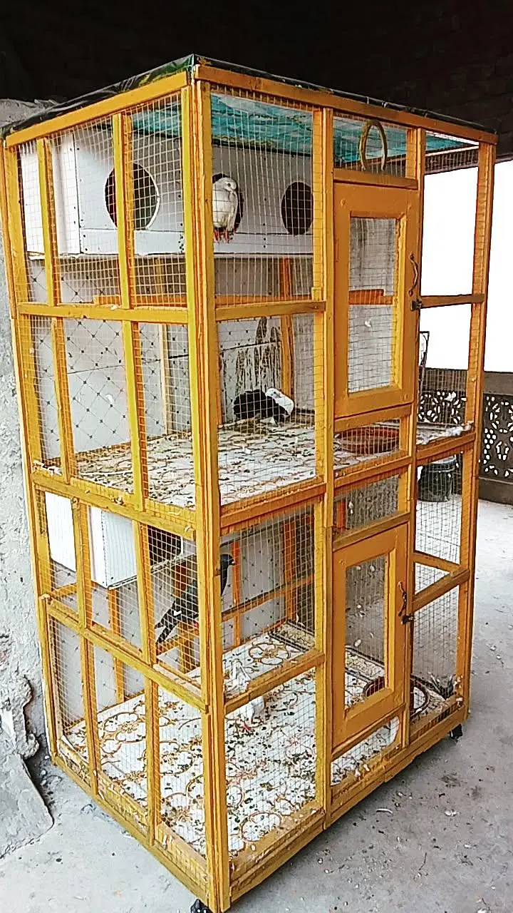 Large Kabooter Pinjra for Sale - Heavy Duty Iron Cage — photo 2