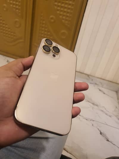 Apple iPhone 13 Pro Max