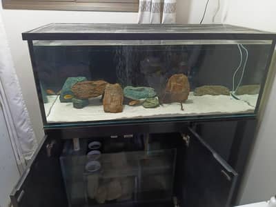 4 feet aquarium with sump filter 12mm glass 22inch depth rocks sand