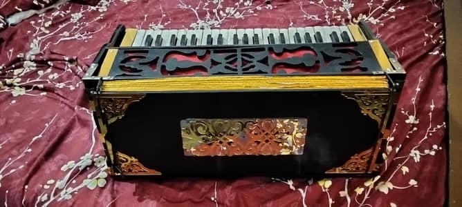 Indian harmonium palitana