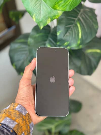 Apple iPhone 15 plus