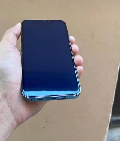 Apple iPhone 12 Pro