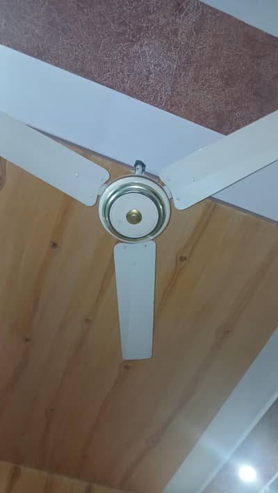 Fans for sale (ceiling fan)