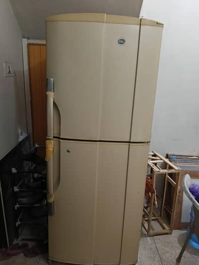 Pel fridge, big size