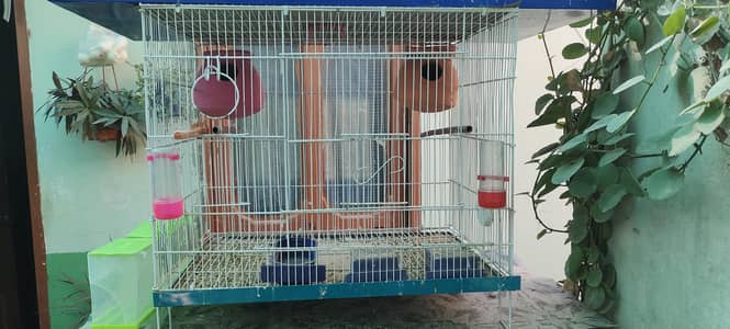 Cage's And Assessories