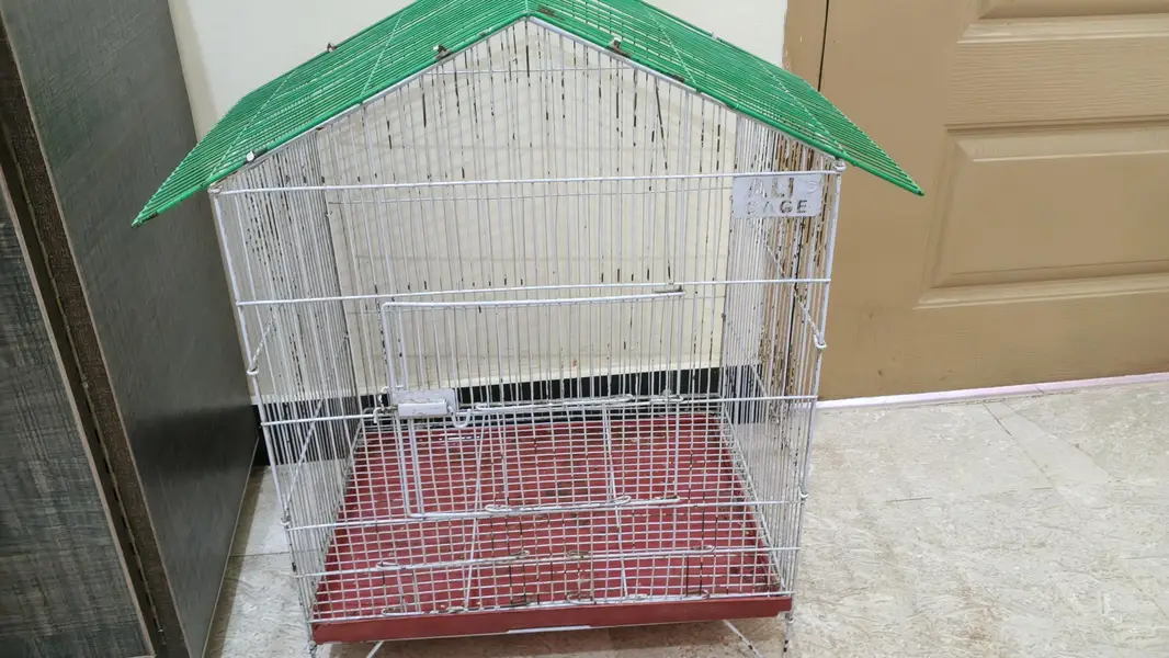 Parrots Cage  New — photo 2