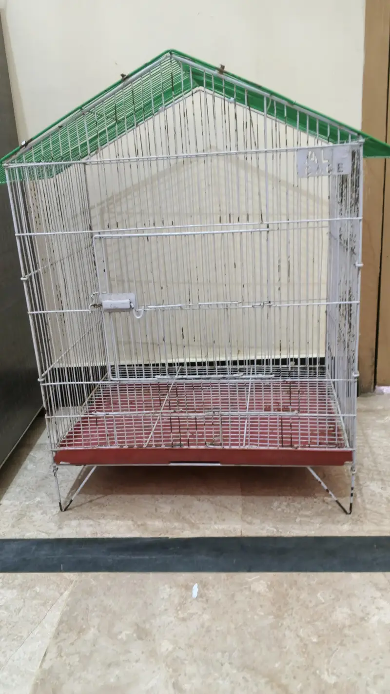 Parrots Cage  New — photo 3