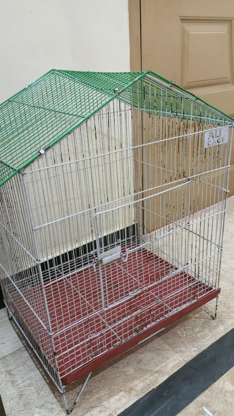 Parrots Cage  New — photo 5