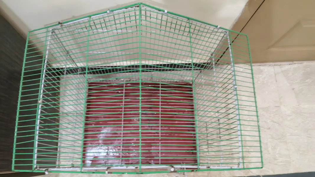 Parrots Cage  New — photo 6