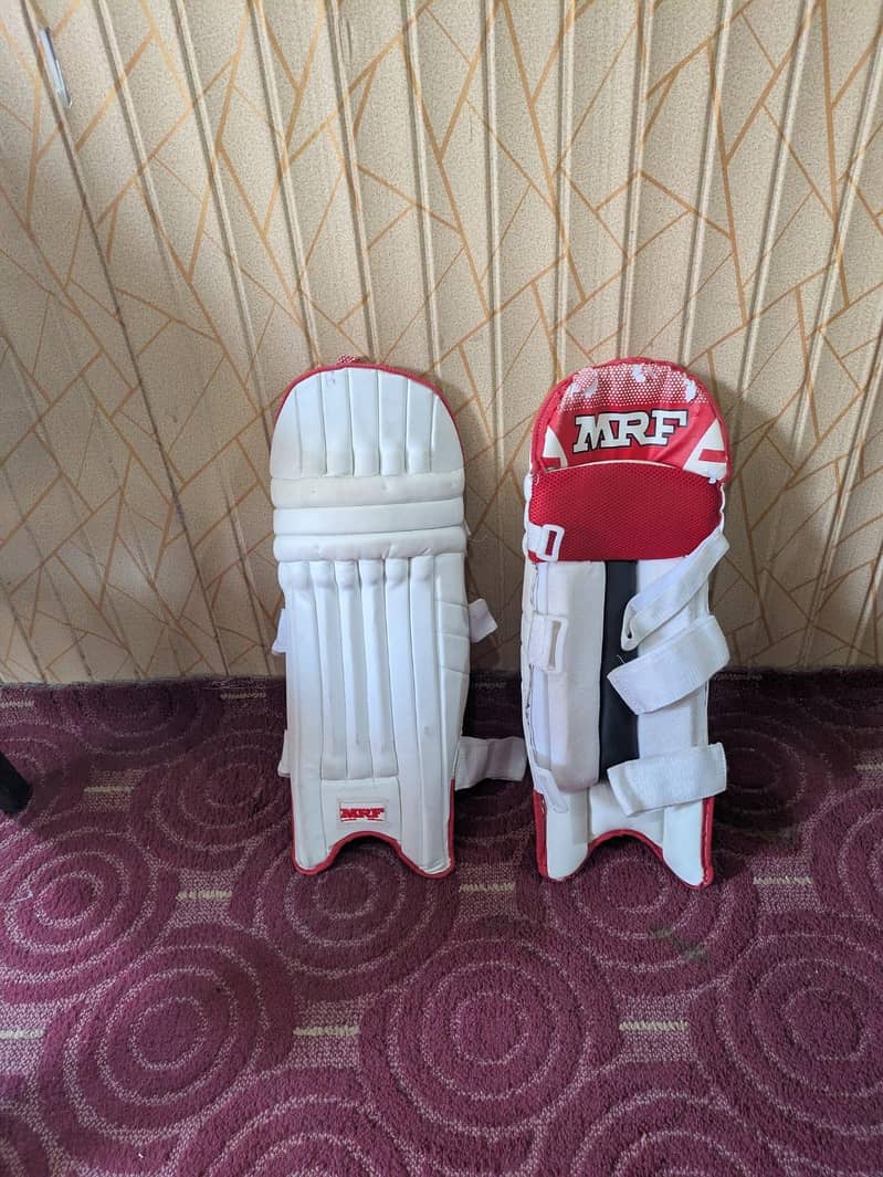 cricket kit 5