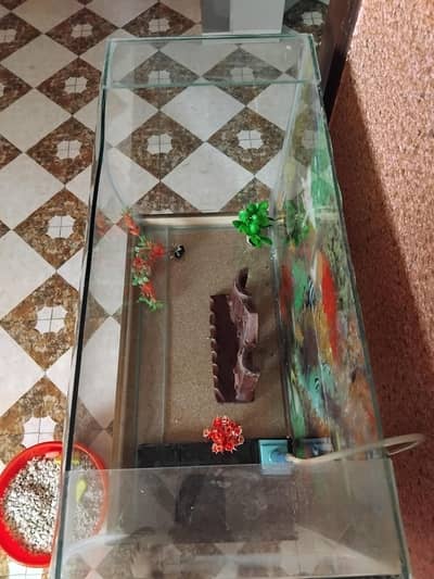 aquarium for sale