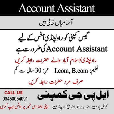 Account Assistant