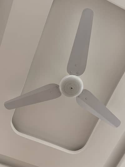 Ceiling Fan for Sell Brand new and Original Non-repair Fans for sell