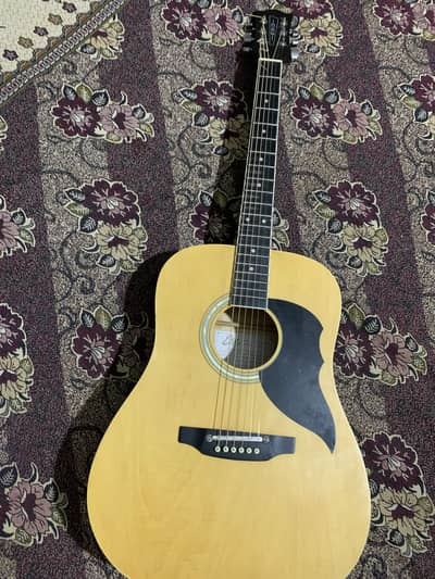 Branded EKO Professional Acoustic Guitar double truss rod