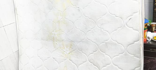 Spring Molty Foam 8 inches