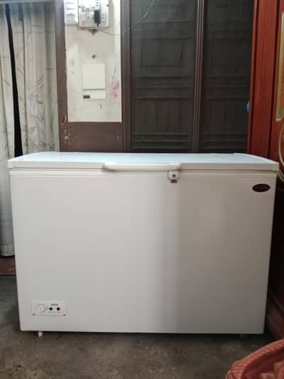urgent sale