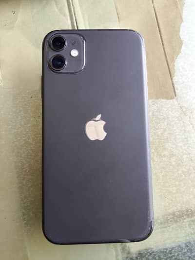 Apple iPhone 11