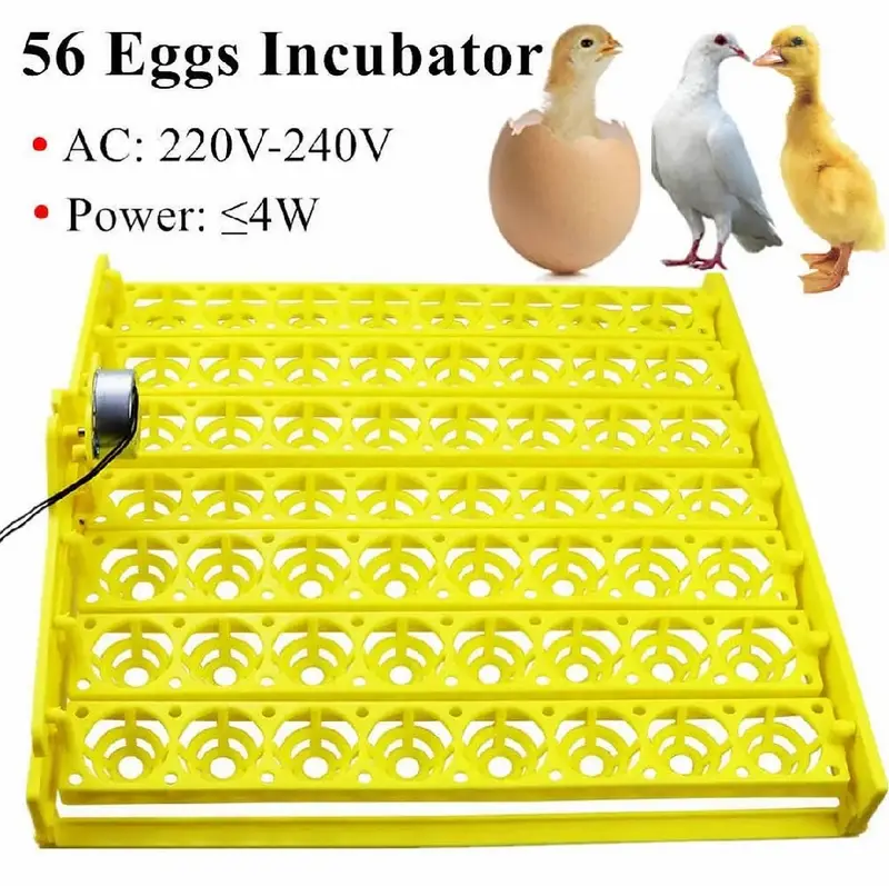 Incubator for Birds