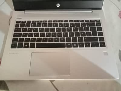 HP PROBOOK 445R G6 (8/238)
