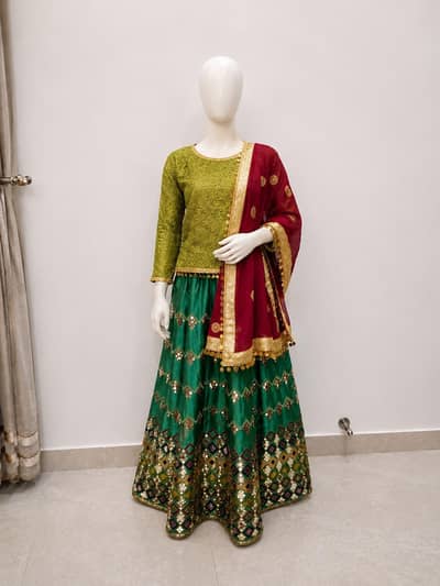 Stylish Olive Green & Emerald Mehndi Lehenga Choli (New Condition)