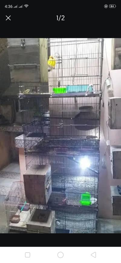 4 poshan cage for sale Master cage ha