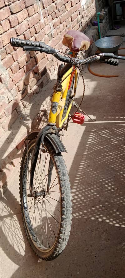 Bicycle for sale