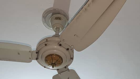 Ceiling Fan For Sale 100% copper