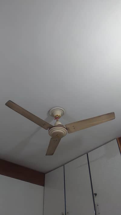 Ceiling Fan (starco)