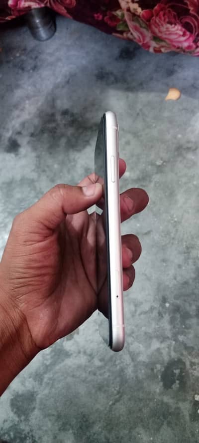 I phone 11