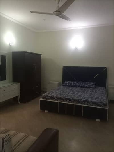 10 Marla Fully Furnished House with Facing Park