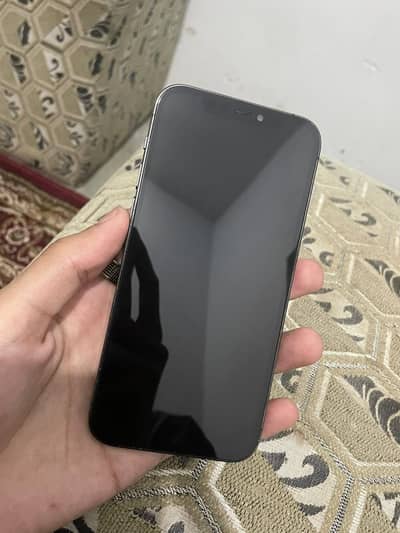 Apple iPhone 12 Pro