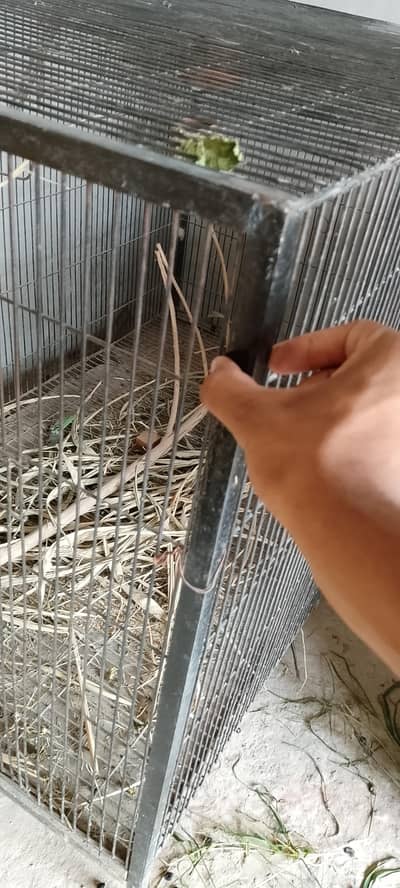 03221406653 big and heavy cage sale is ma AP cats dog ya parrot  rakh