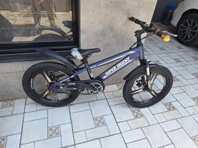 kids bycycle brand new slighty used