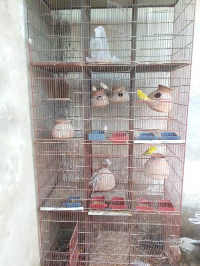 original metal cage