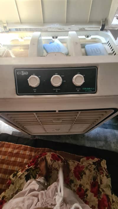 super asia cooler 5500