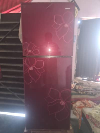 orient medium size frig refrigerator