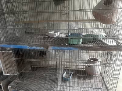 Pinjra for sale
