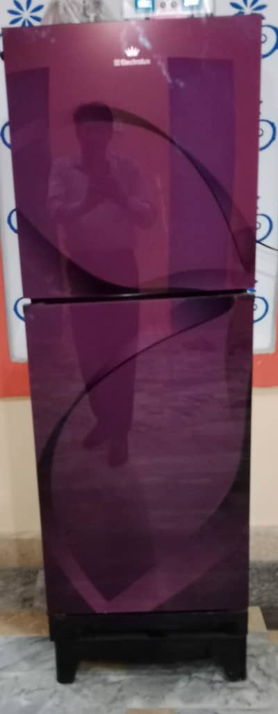 Electrolux Fridge