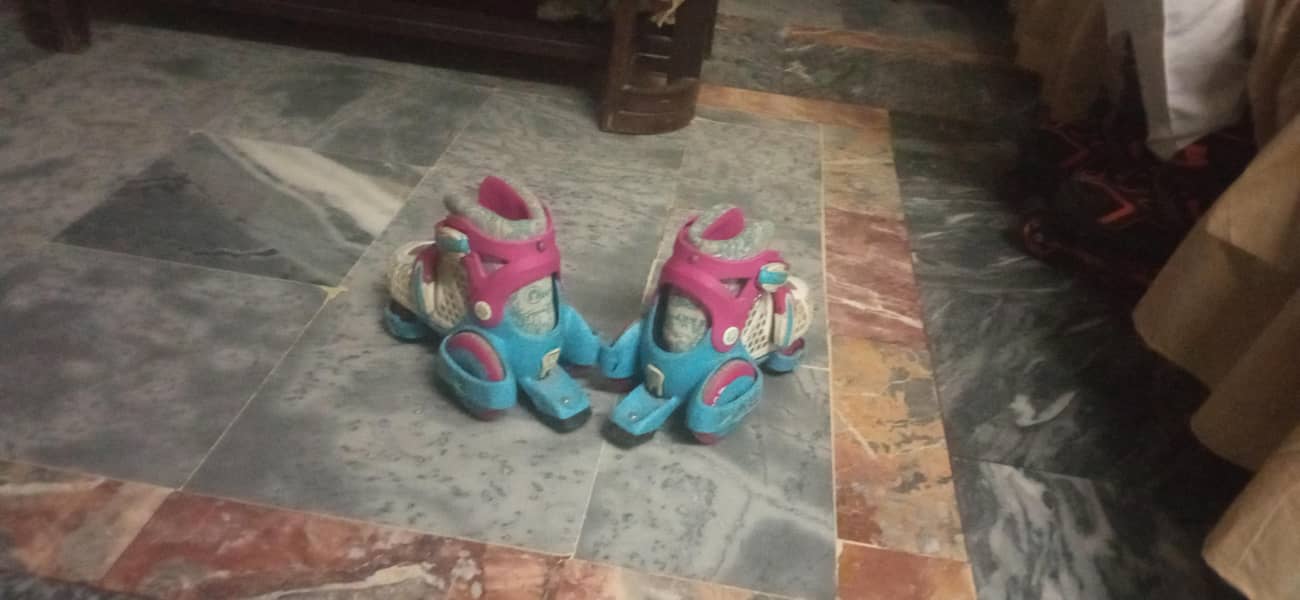 Skates 2