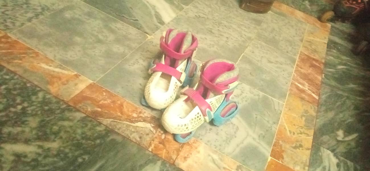 Skates 3