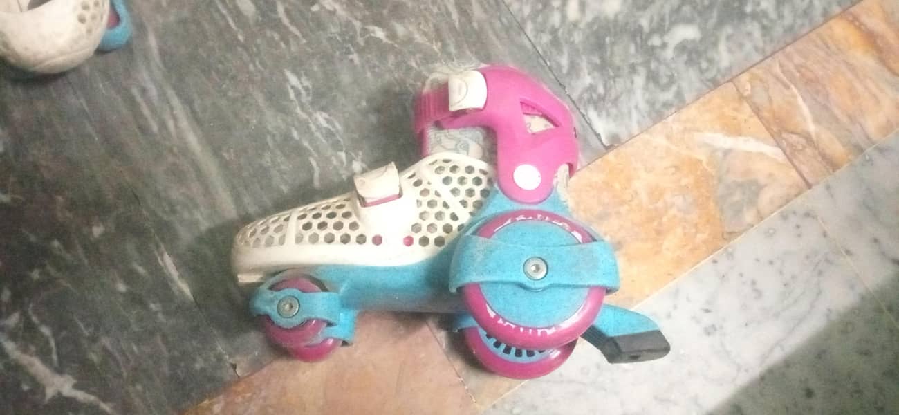 Skates 6