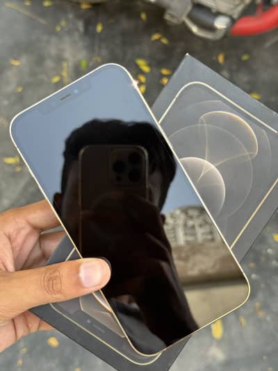 Apple iPhone 12 Pro Max