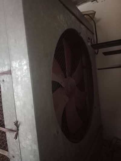 lahori cooler