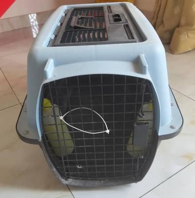 cat cage