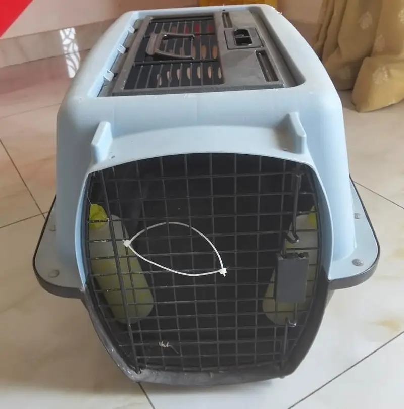 cat cage